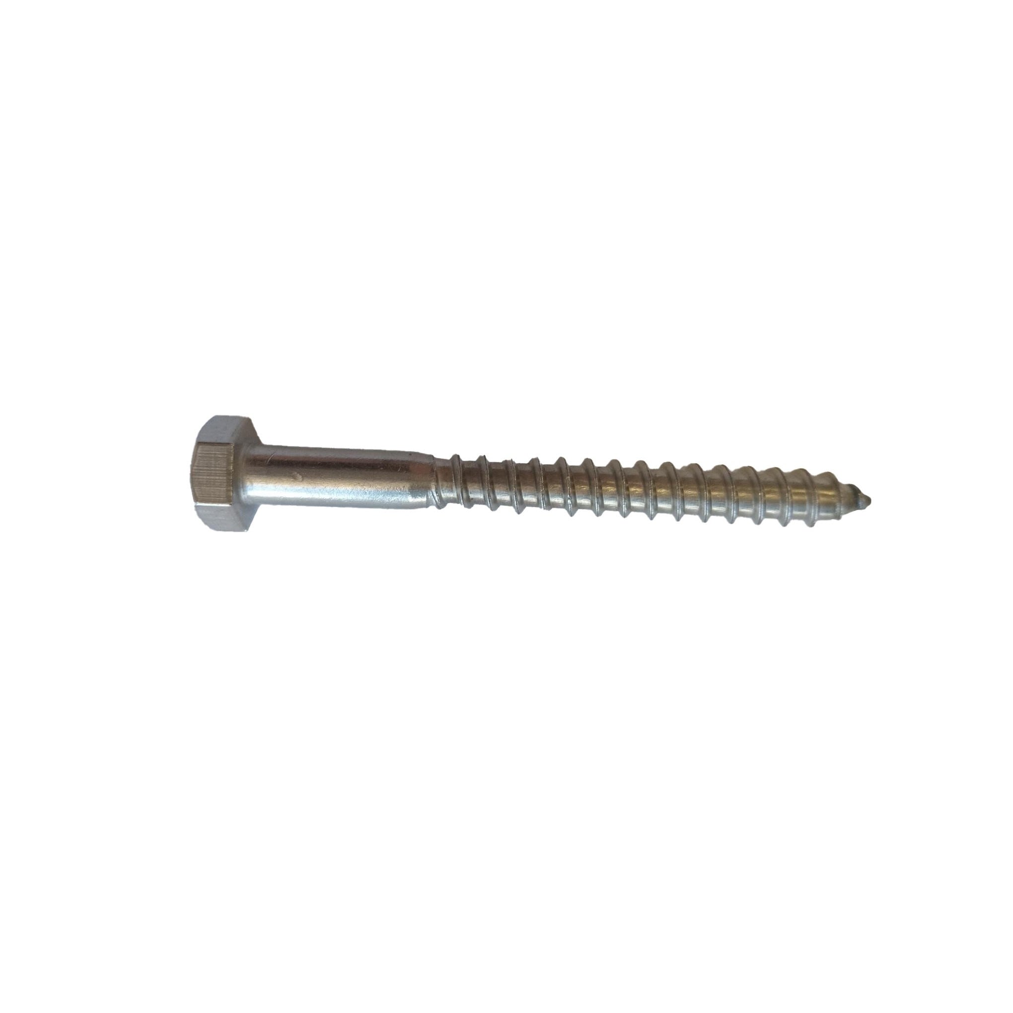 Coach Screw Stainless Steel 8 x 75mm