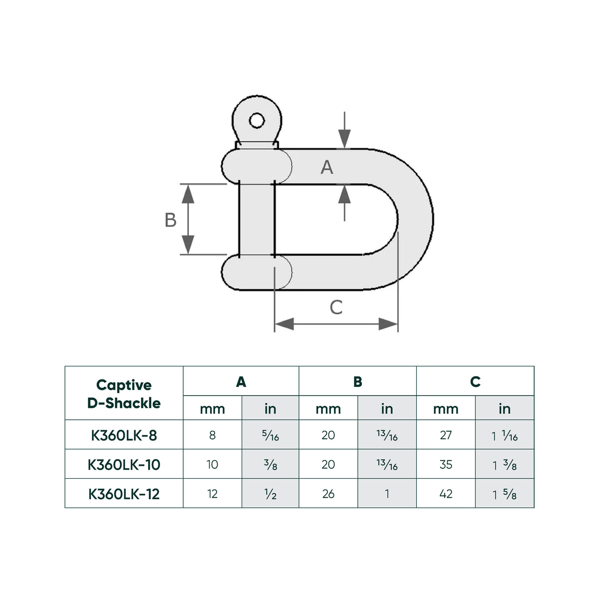 D-Shackle (Captive Pin) SS 316-10mm